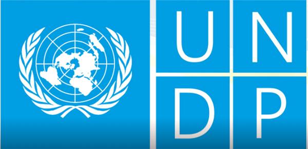 Програма розвитку ООН в Україні відкрила нові вакансії