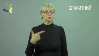 БЛАКИТНИЙ 2 ВАРІАНТИ